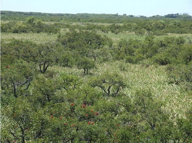 Chacras de Una Hectárea en un Secreto Lugar del Tigre 5