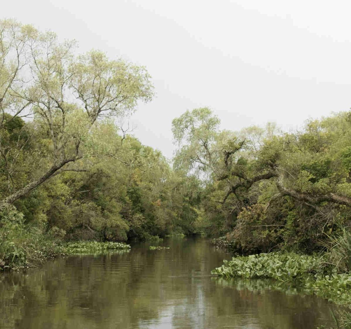 Chacras de Una Hectárea en un Secreto Lugar del Tigre 1
