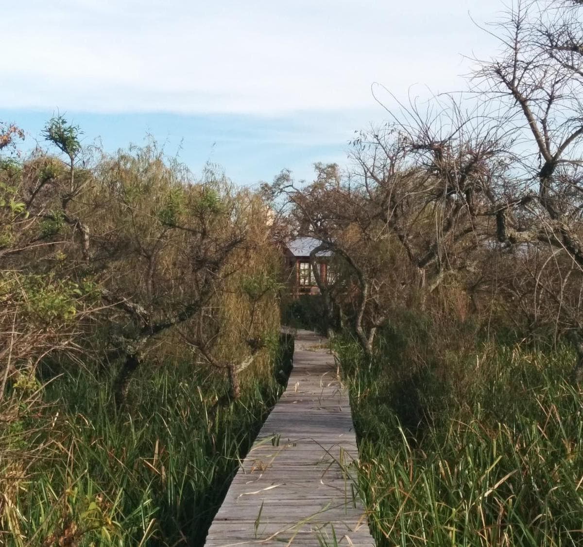 Chacras de Una Hectárea en un Secreto Lugar del Tigre 4