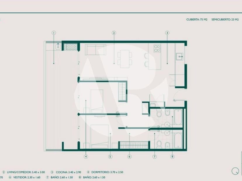 Plano 8