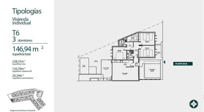 Plano 8