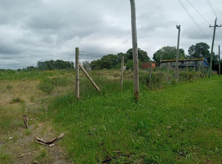 Alquiler Casa con Campo frente a Ruta 6, Sauce 3