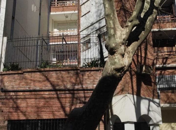 EXCELENTE SEMIPISO EN ALQUILER  4