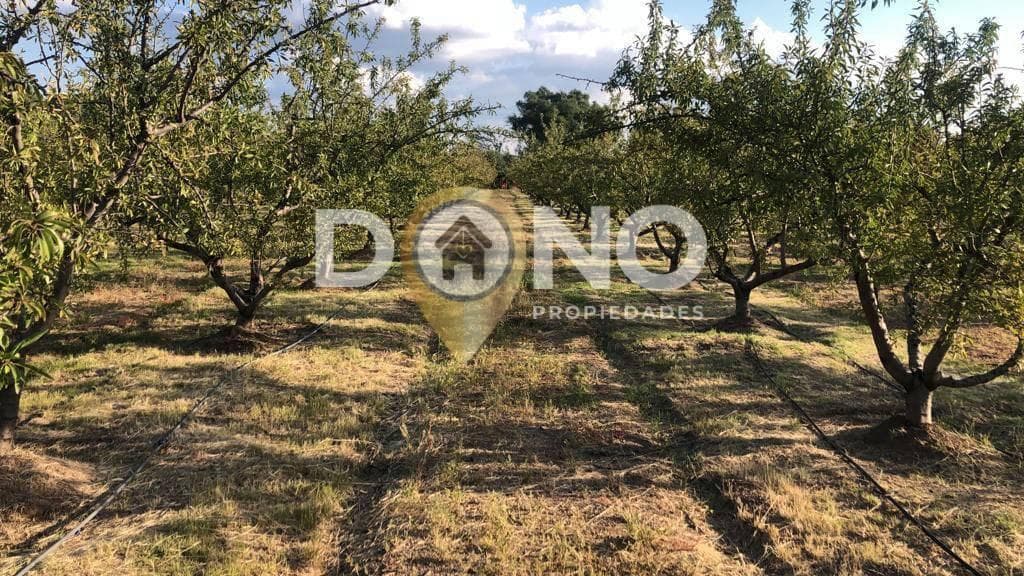 Imagen de la propiedad