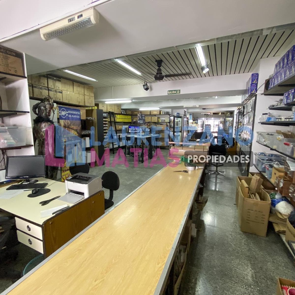 Local con Deposito de 720 m² - Villa Crespo 5