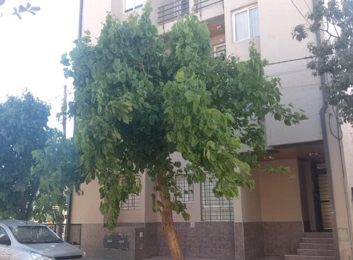 1 DORMITORIO BARRIO PUEYRREDON 1