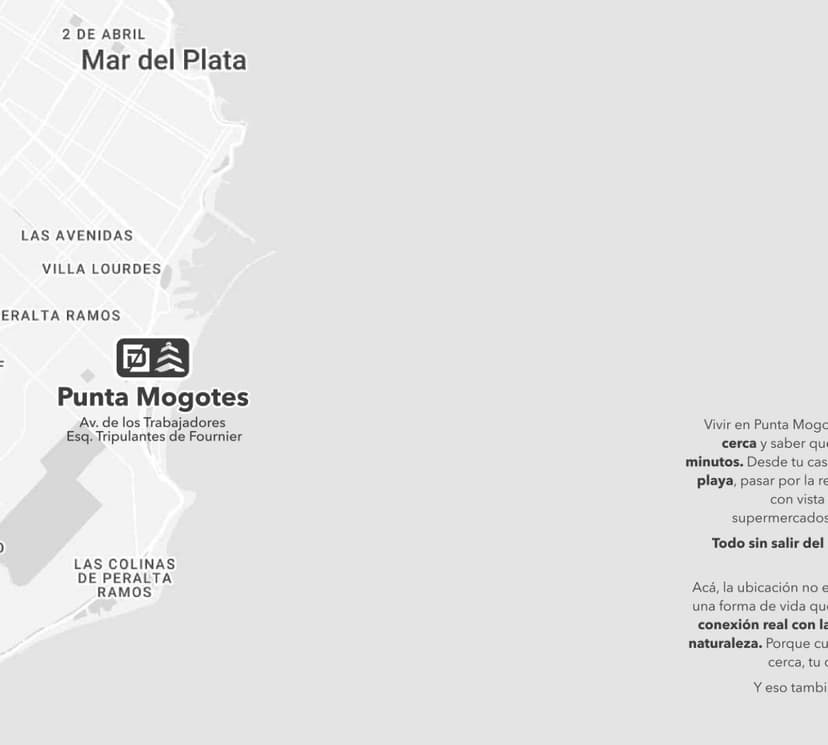 Plano 8