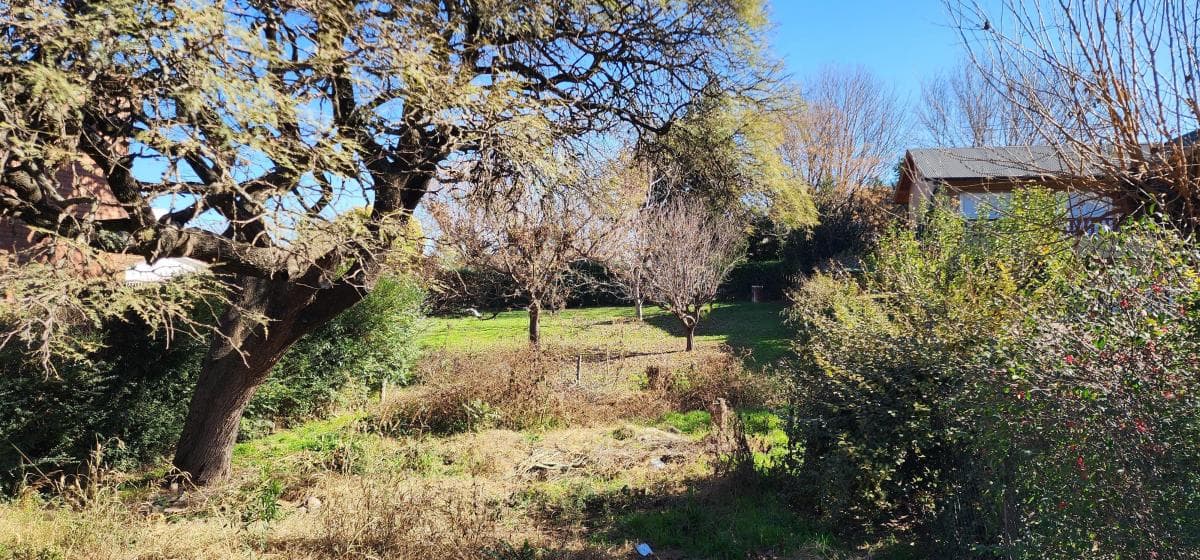 Imagen de la propiedad