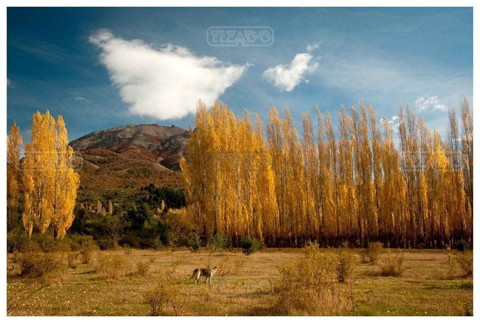 Propiedad en Argentina