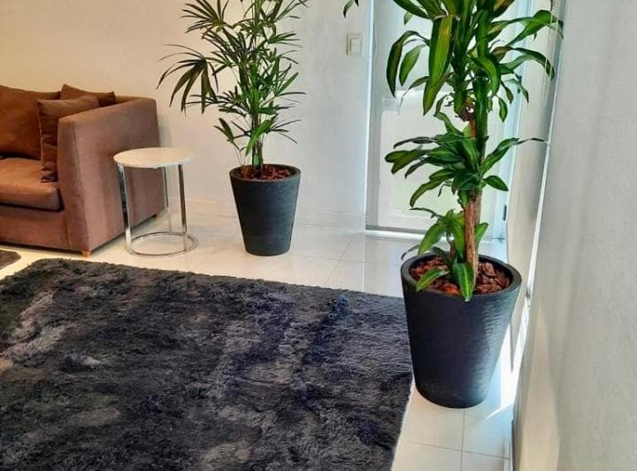 Penthouse 4 Ambientes - Piso Alto - Amueblado 4