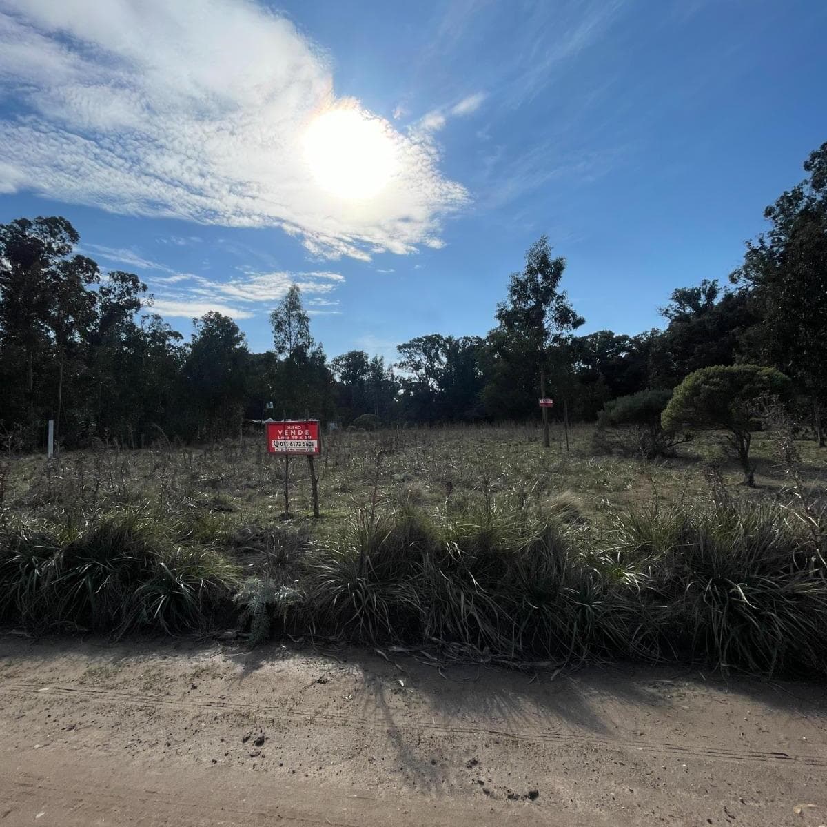 Imagen de la propiedad