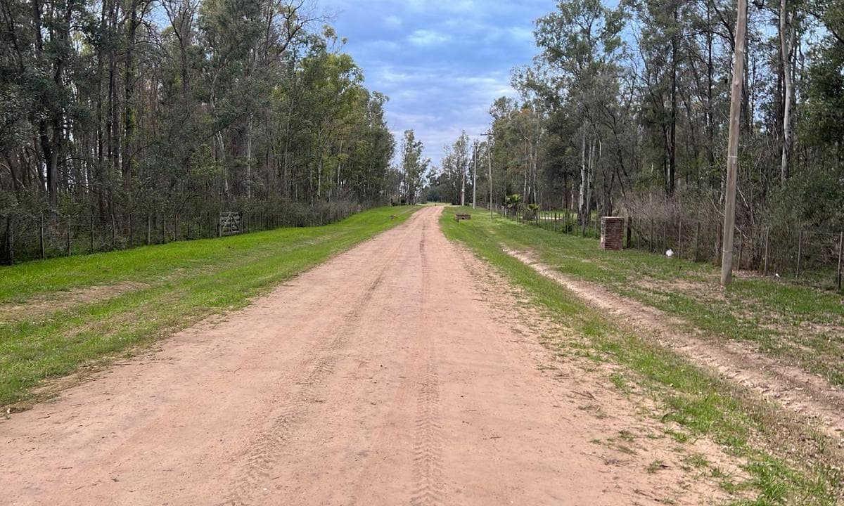 Imagen de la propiedad