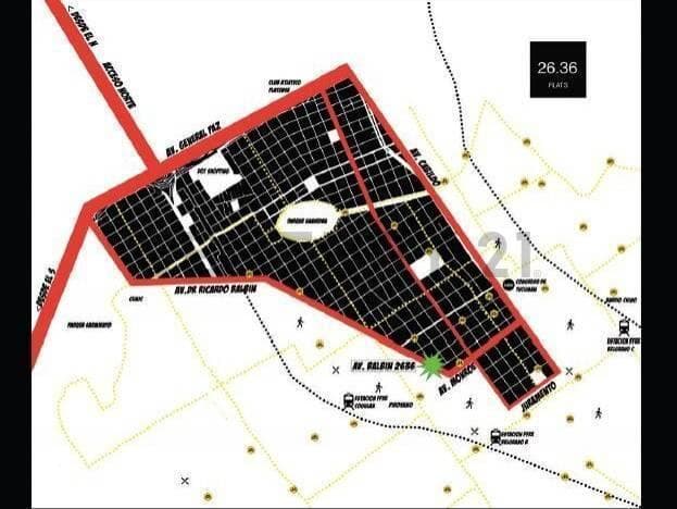 Plano 4