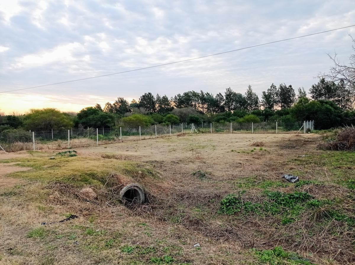 Imagen de la propiedad