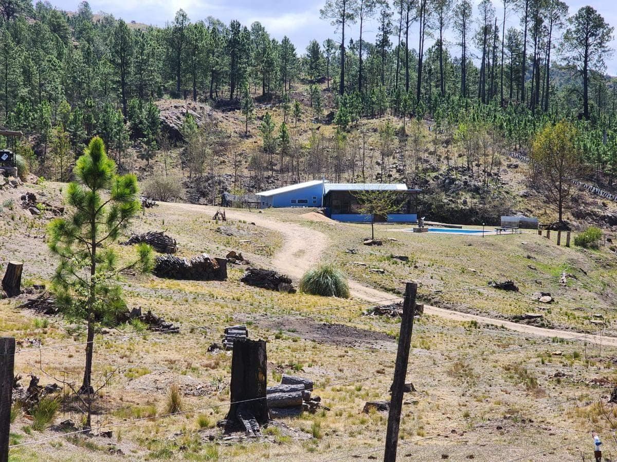 Imagen de la propiedad