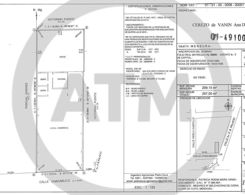 Plano 1