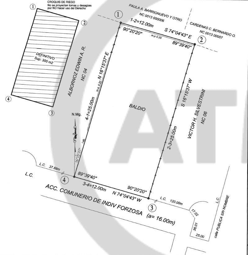 Plano 1