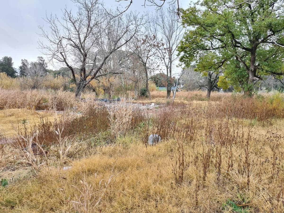 Terreno en Alquiler Ideal Proyecto en Funes Rosario 2