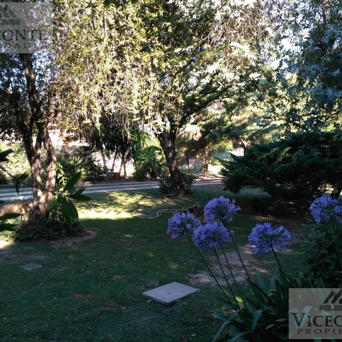 Imagen de la propiedad