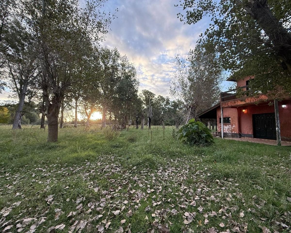 Imagen de la propiedad