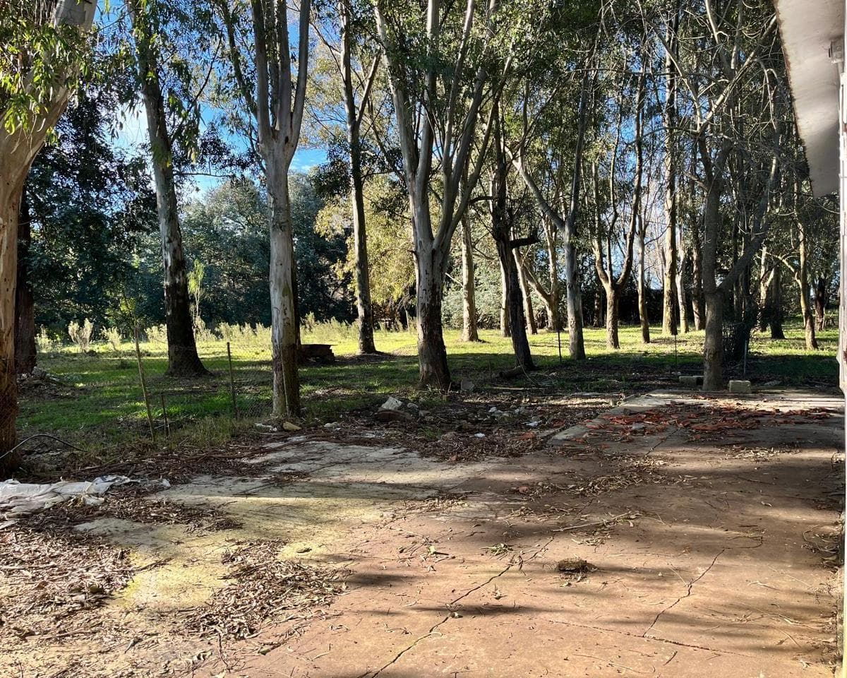 Hectárea en Alquiler en 179 E 39 y 40 5