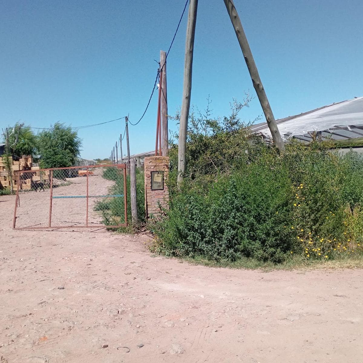 Imagen de la propiedad