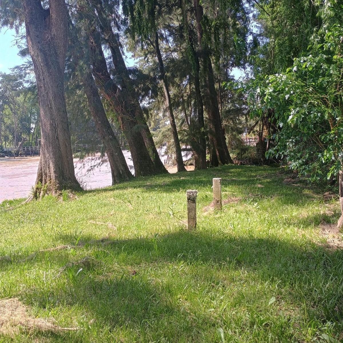 Lote Isla Canal Arias 4
