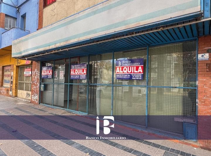 Local Comercial Depósito Oficinas. Av San Martin  2