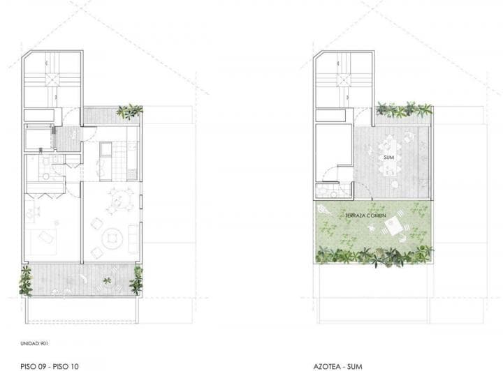 Plano 8