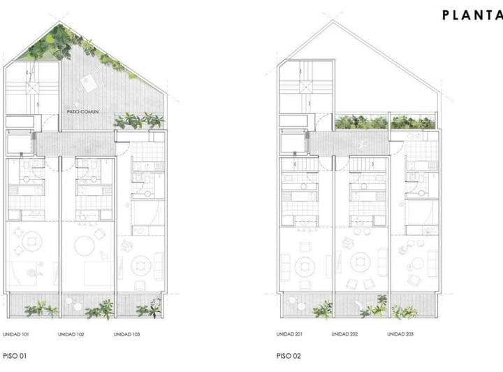 Plano 6