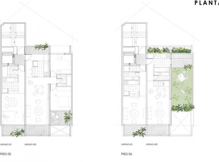 Plano 7