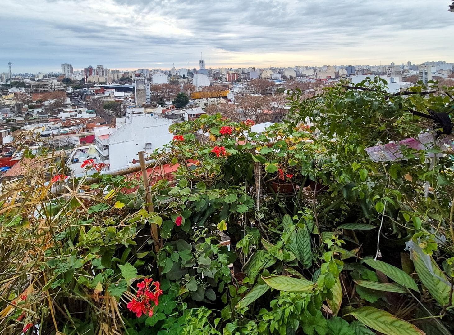 Imagen de la propiedad