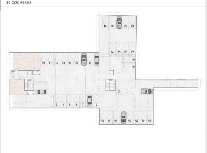 Plano 5