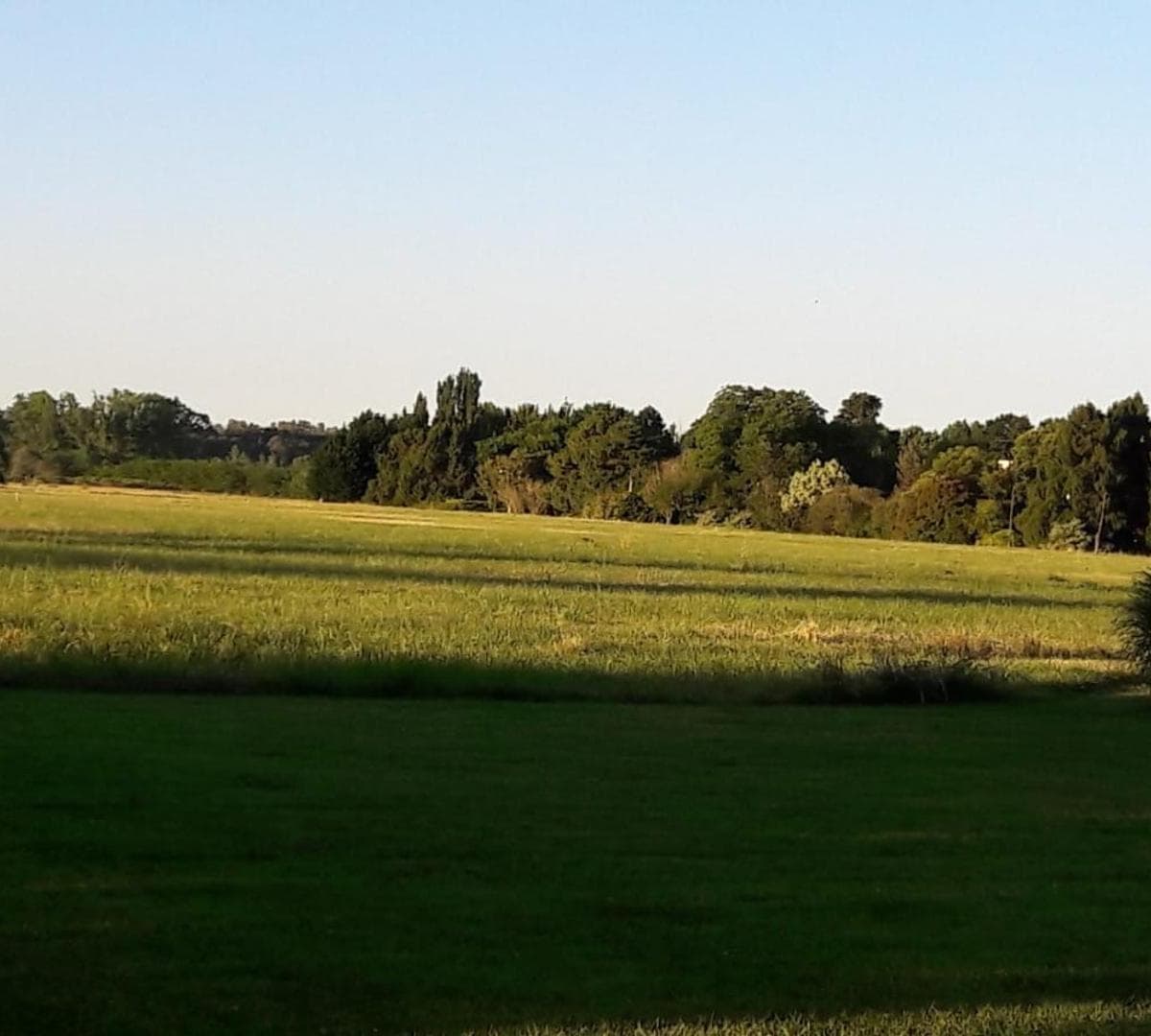 Alquiler - Quinta 5 - Dormit - Country 1