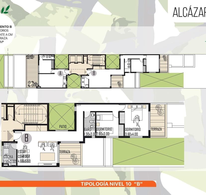 Plano 6