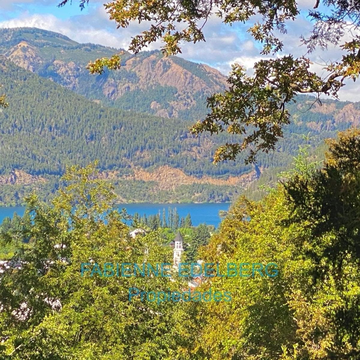 Imagen de la propiedad