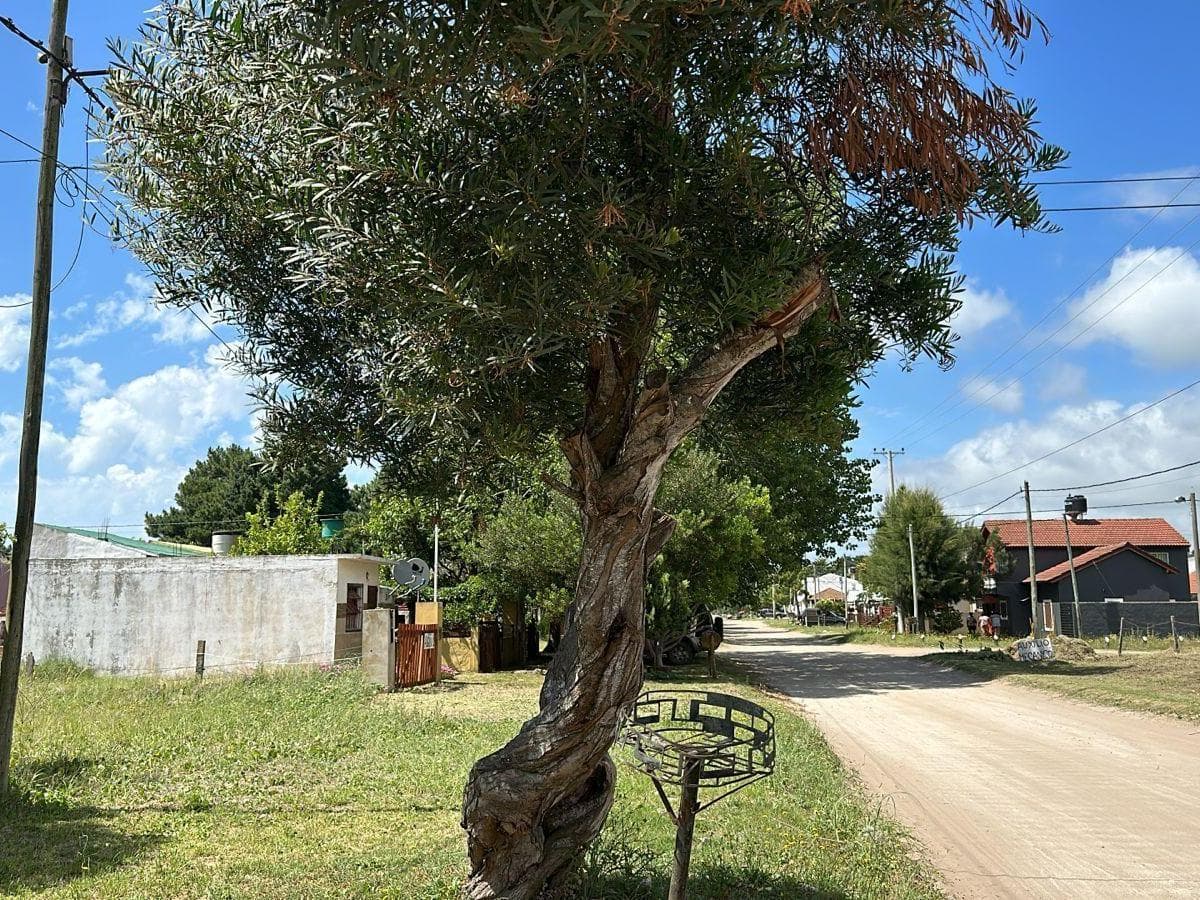 Imagen de la propiedad