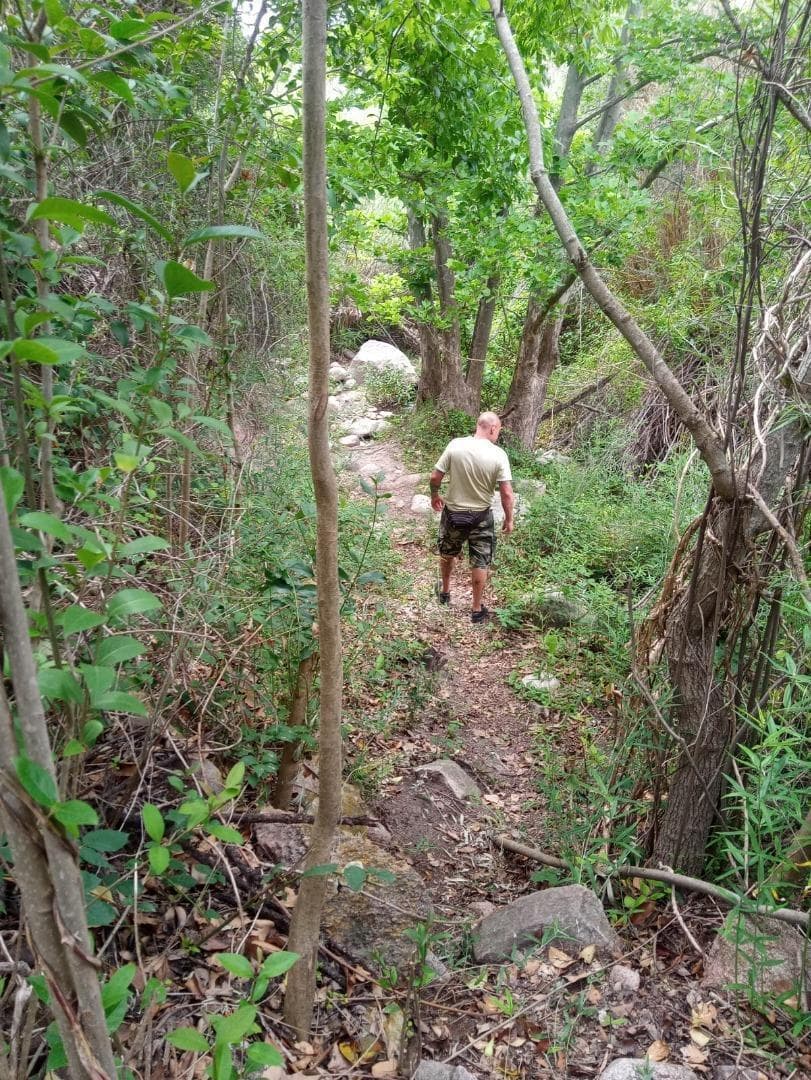 Imagen de la propiedad