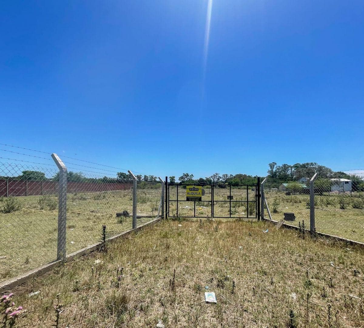 Lote. | Los Inmigrantes Al 3300 4