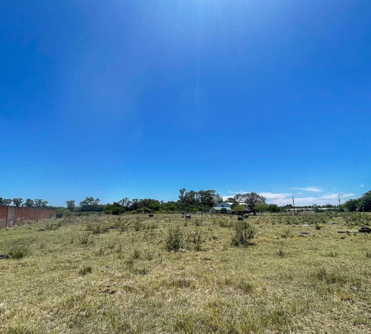 Lote. | Los Inmigrantes Al 3300 2