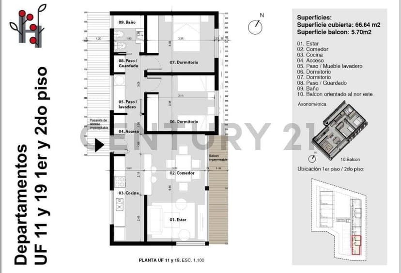Plano 7