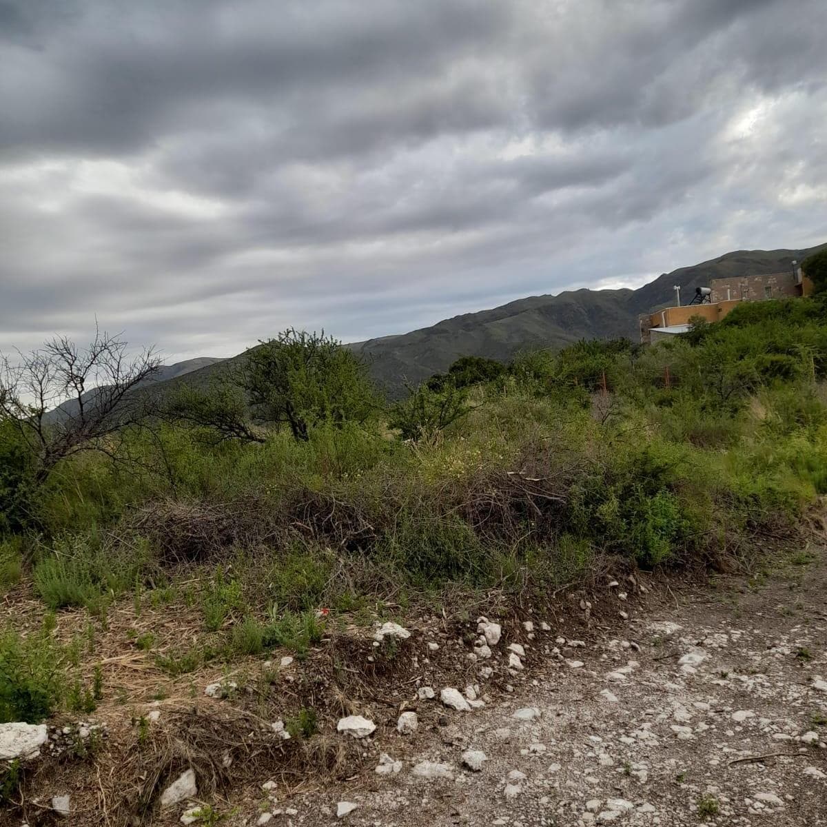 Imagen de la propiedad