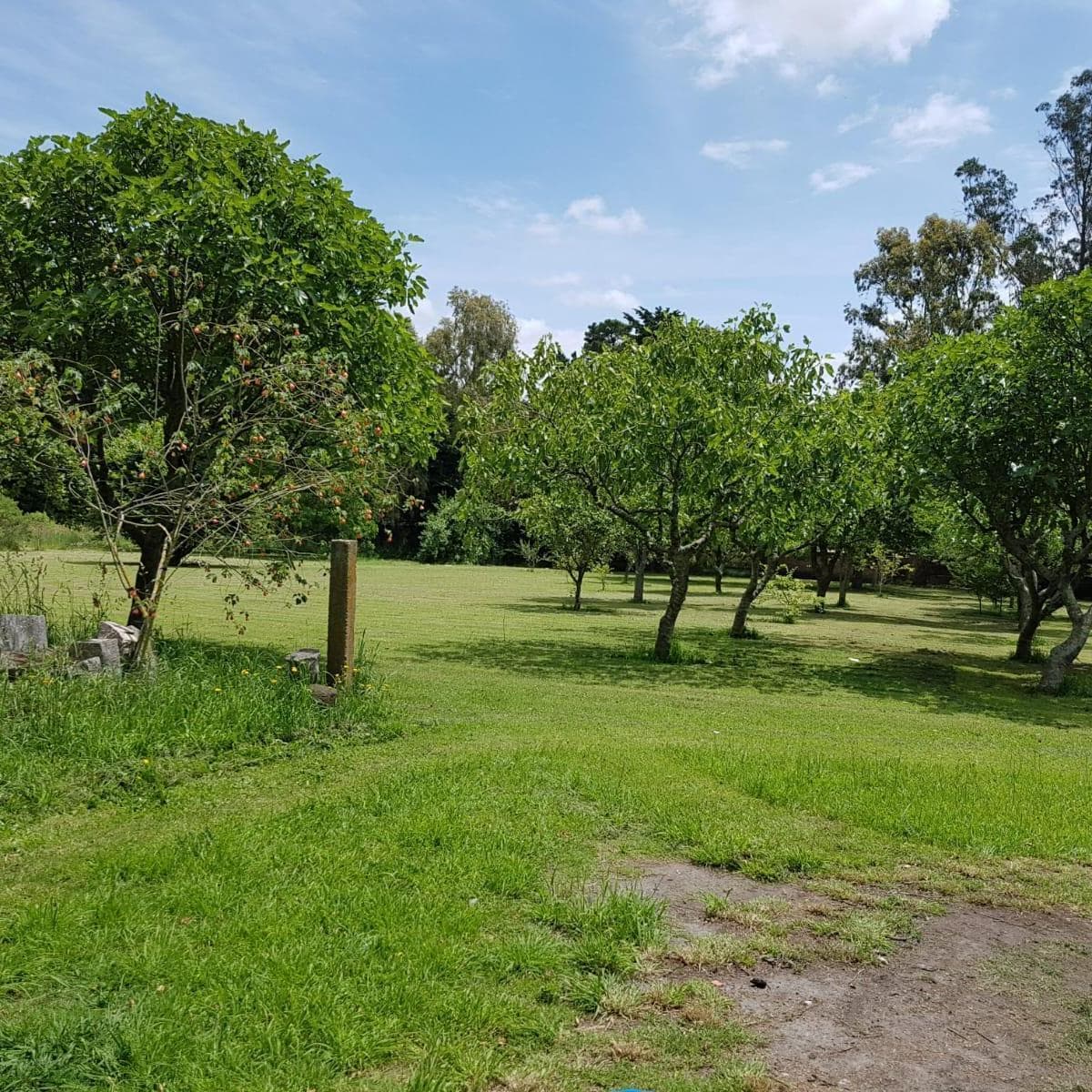 Imagen de la propiedad