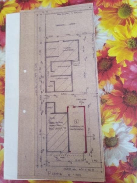 Plano 2