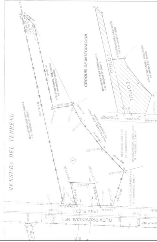 Plano 1
