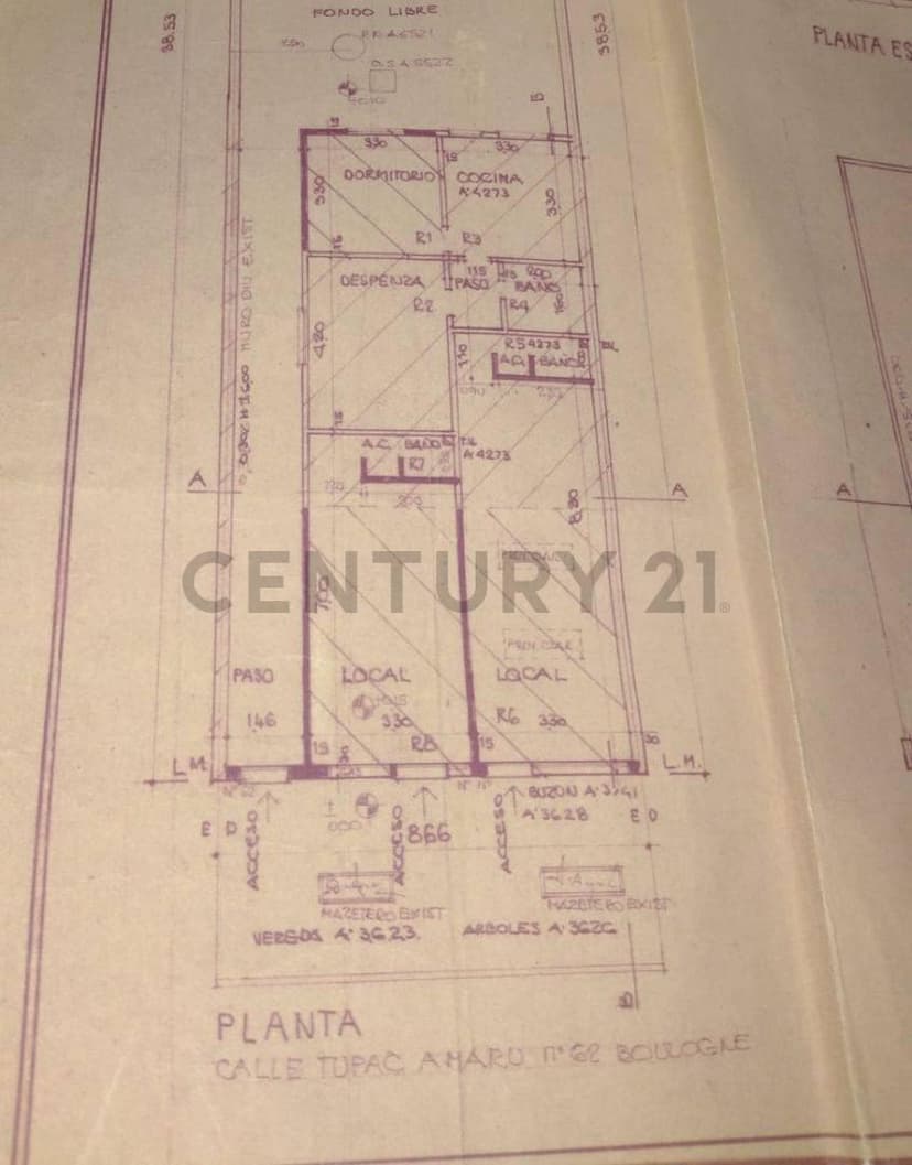 Plano 1