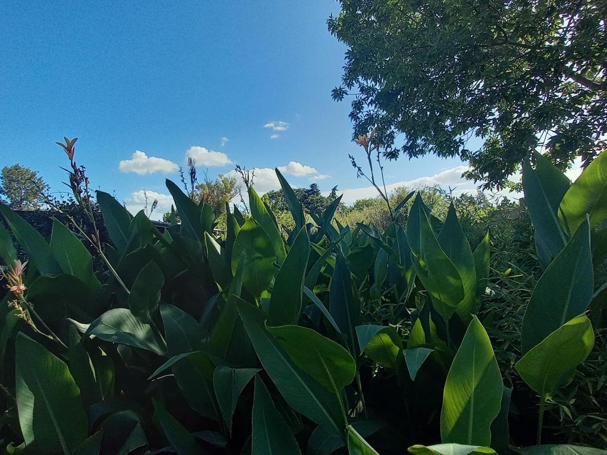 Terreno en Alquiler en La Plata 3