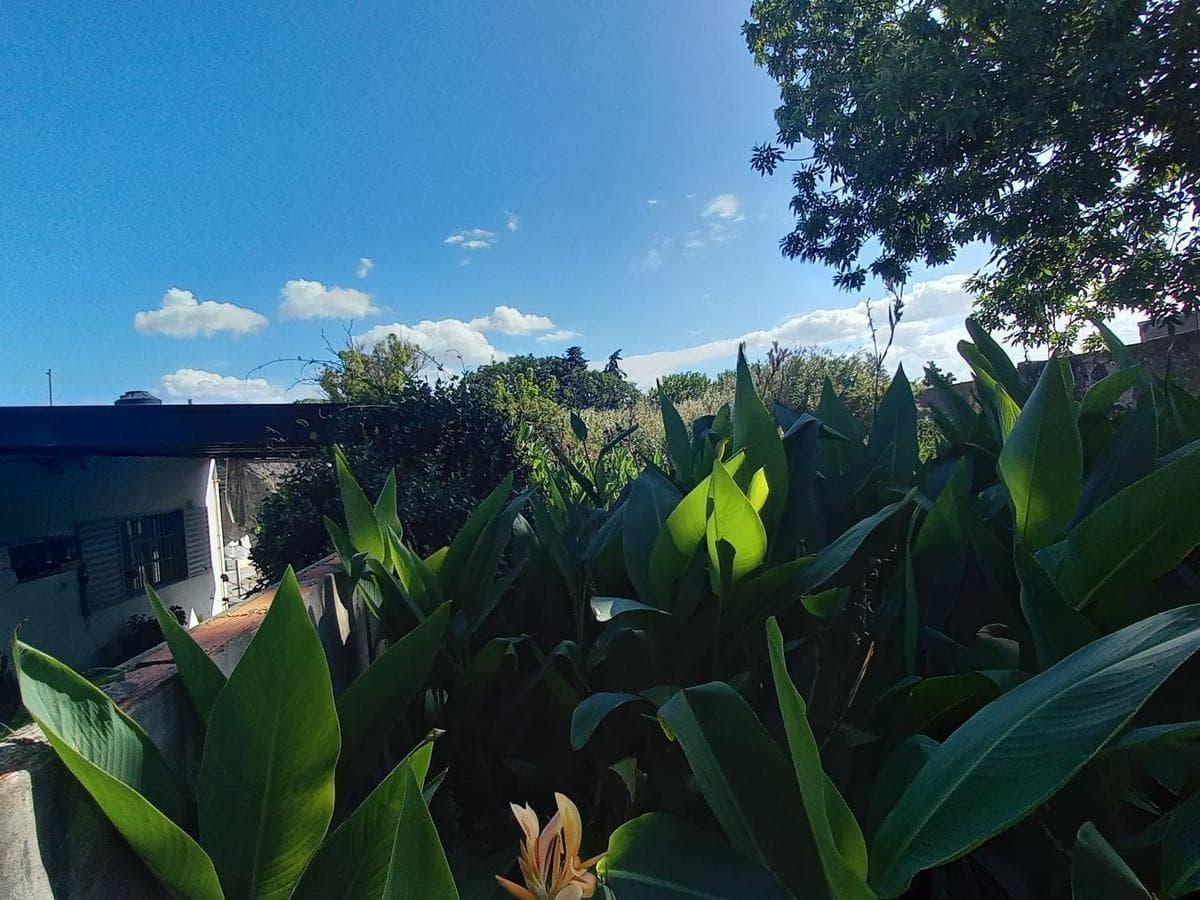 Terreno en Alquiler en La Plata 2
