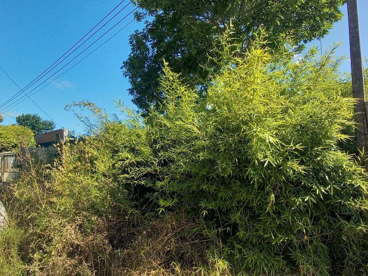 Terreno en Alquiler en La Plata 5