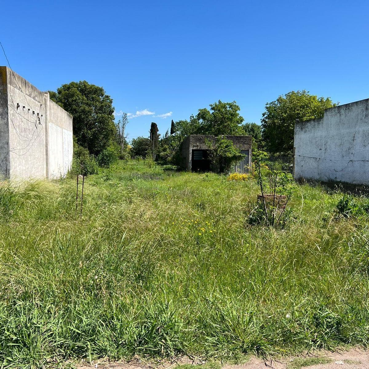 Imagen de la propiedad